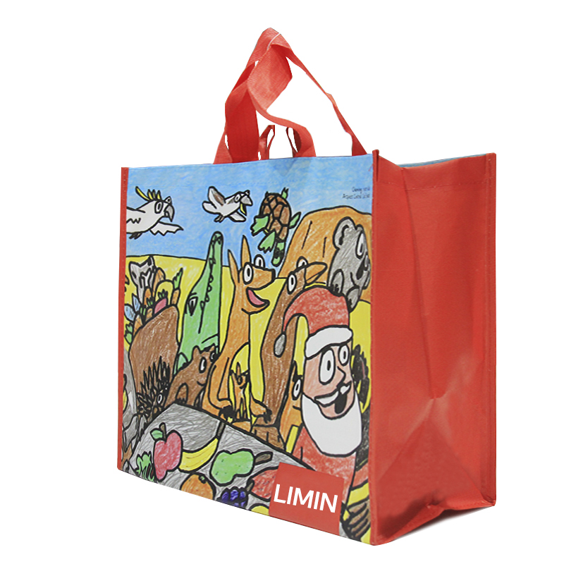 PP bag LM18-PP12